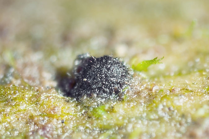 JahnulaAqua-JHP-07.092.jpg